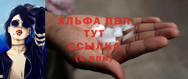 прущий лед Новозыбков