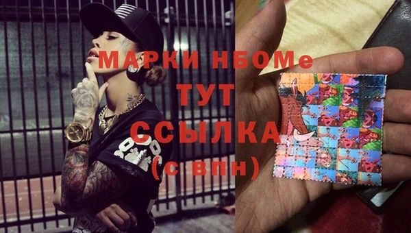 прущий лед Новозыбков