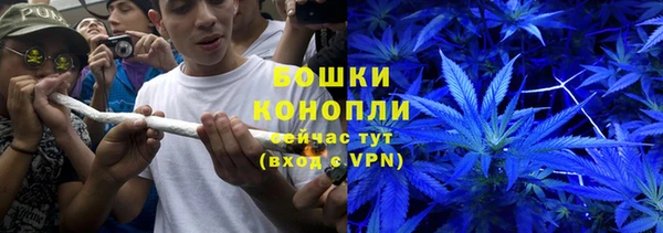 прущий лед Новозыбков