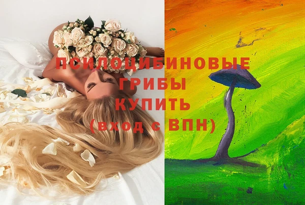 прущий лед Новозыбков