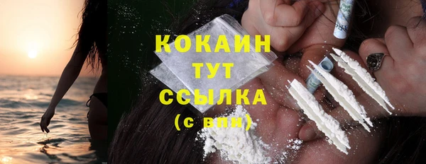 прущий лед Новозыбков