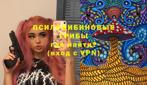 прущий лед Новозыбков